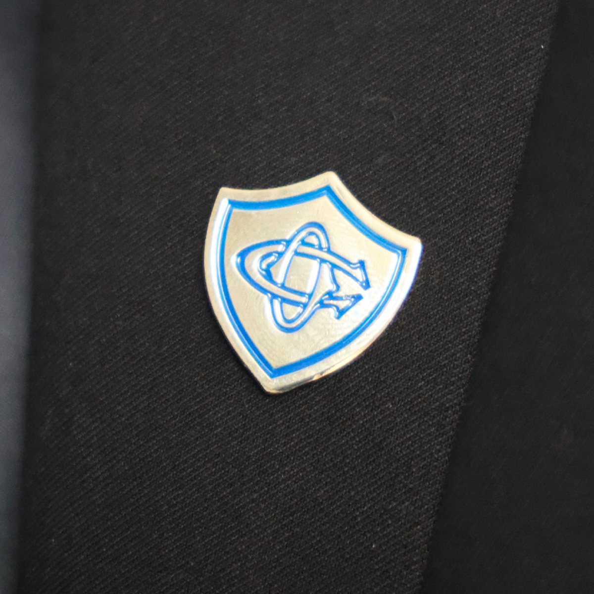 PIN'S BLASON