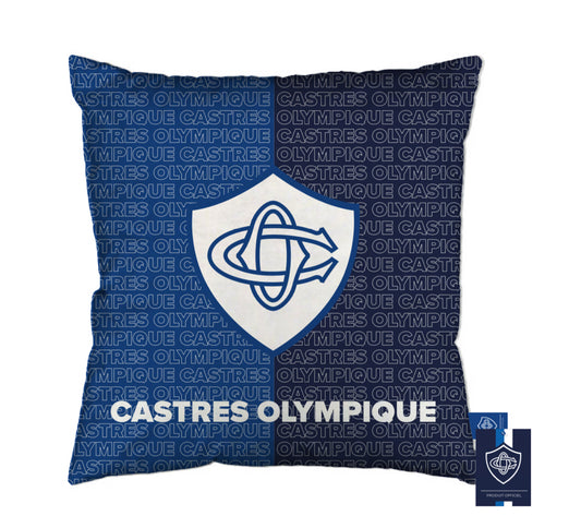 COUSSIN BICOLORE