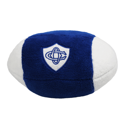 BALLON PELUCHE
