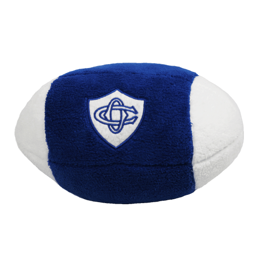 BALLON PELUCHE