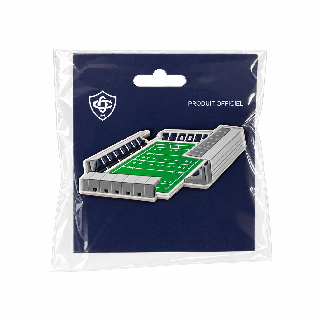 Packshot du pin's stade avec gris plus marqués, sur fond blanc