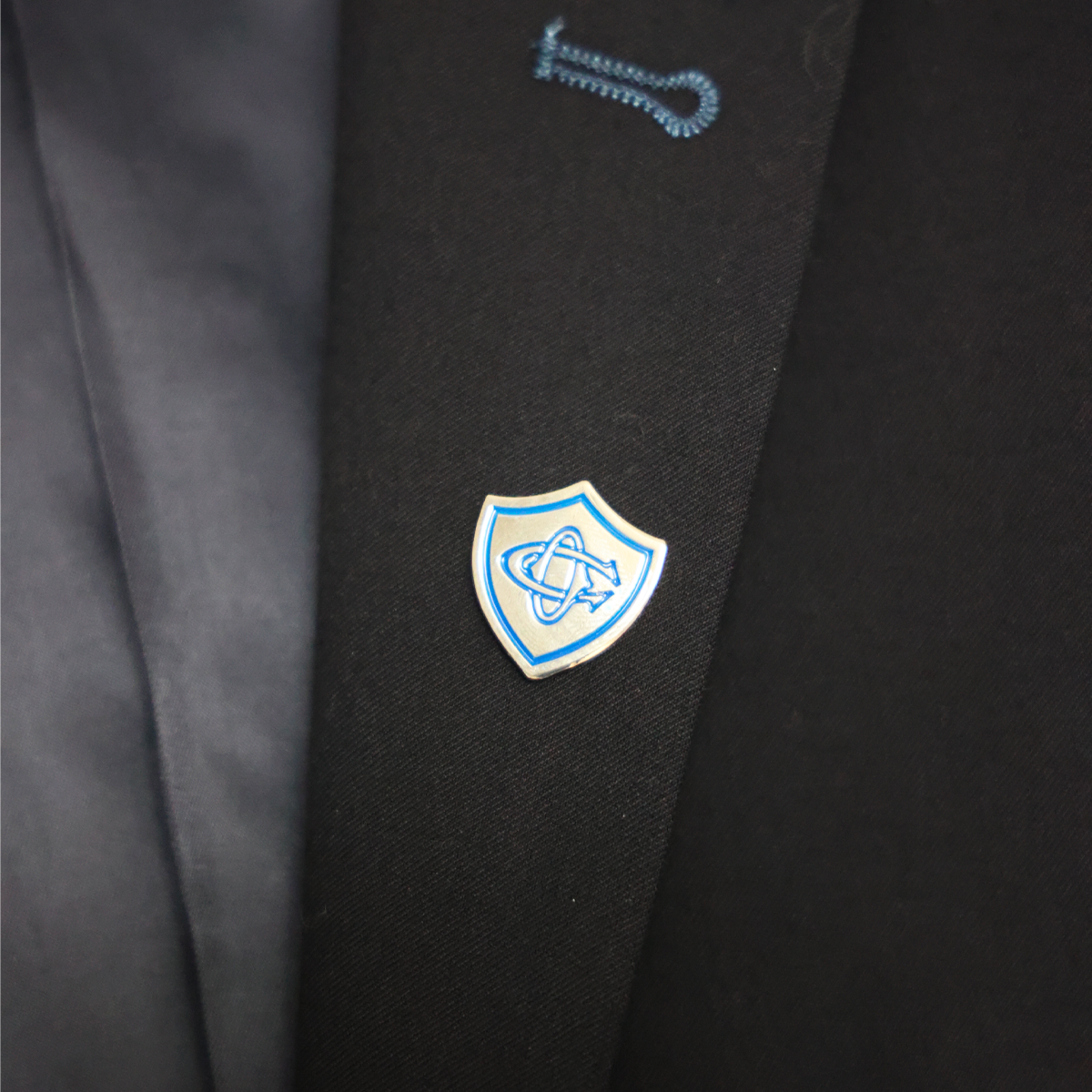 PIN'S BLASON